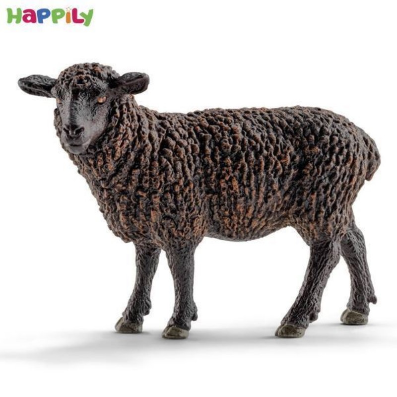 گوسفند نر  اشلایش 13785