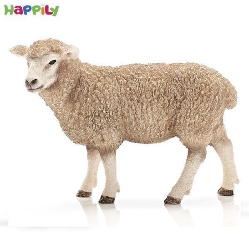 گوسفند ماده اشلایش 13743