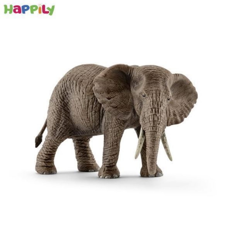 فیل ماده آفریقایی اشلایش 14761