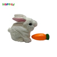خرگوش پولیشی سفید  81058